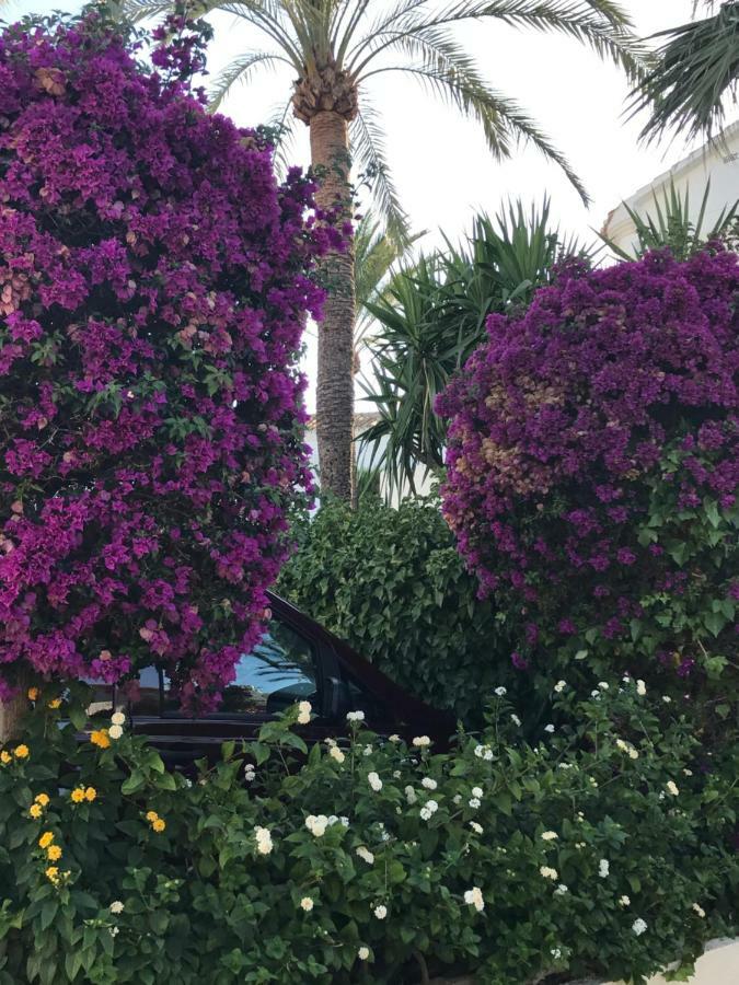 Oasis Paradise Denia Ngoại thất bức ảnh